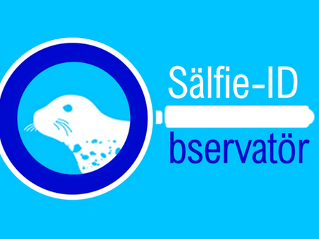 The first Seal Observer workshop!