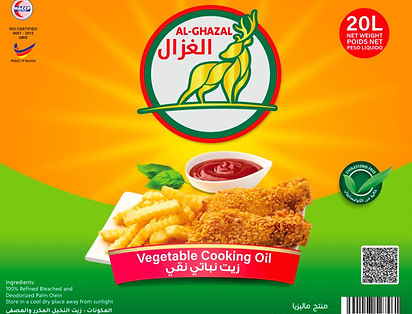 WhatsApp Image 2024-12-03 at 11.23.13 PM.jpeg