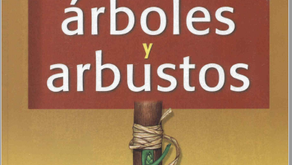 Injertos de todos los arboles y arbustos paso a paso crea tu Bonsai