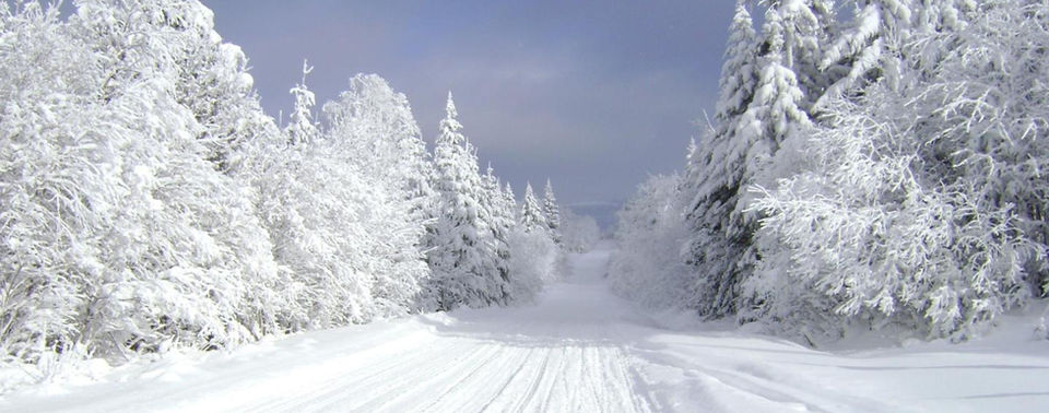 snowmobiletrail.jpg