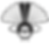 The Birdwood Fan Tail Logo and Favicon