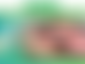 80+ câu đối Tết mầm non hay và ý nghĩa, dễ đọc dễ thuộc