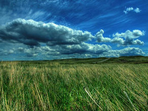 Que justice soit faite