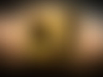 Parcelles de sagesse numéros 1 et 2