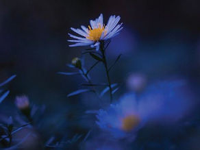 Gardons nos projets secrets