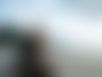 Si seulement j'avais le courage