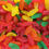 Thumbnail: Swedish Fish