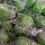 Thumbnail: Sour Candy Balls
