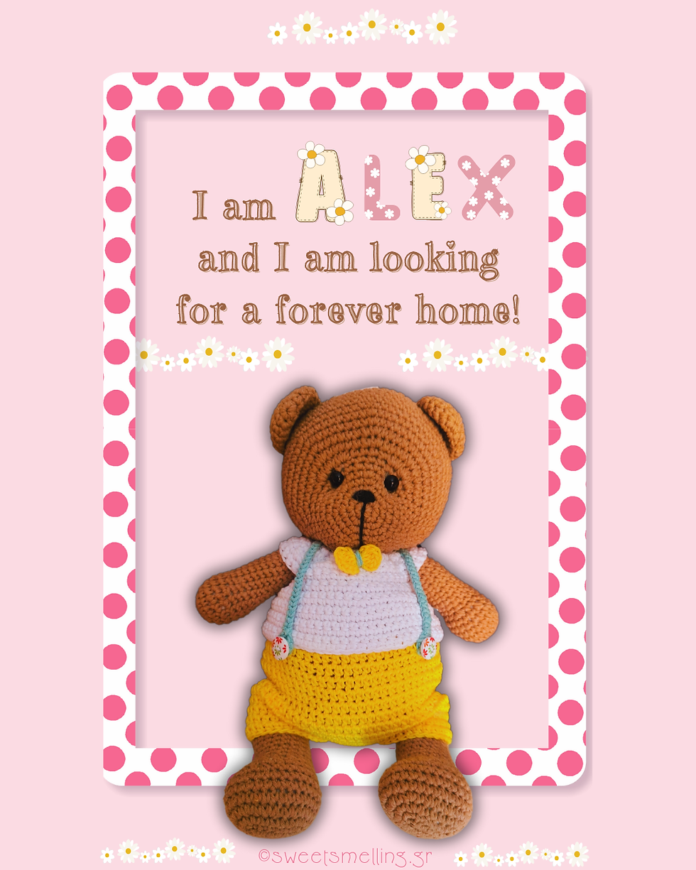 Handmade crochet teddy bear, sitting against a pink background with the text "I am Alex and I am looking for a forever home.