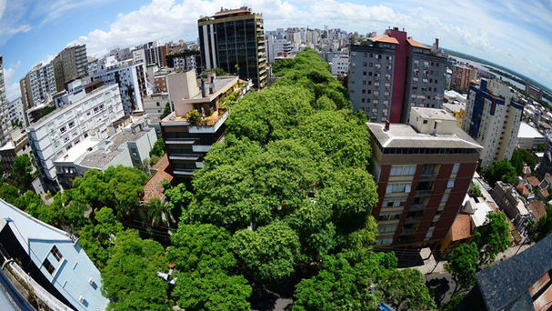 Em meio à crise climática, Porto Alegre recebe sua primeira Semana de Ação Climática