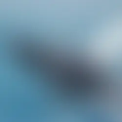 Retirada de proteção da APA da Baleia Franca pode aumentar riscos climáticos no litoral catarinense