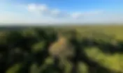 Frente Parlamentar Ambientalista emite nota técnica em apoio aos  vetos presidenciais à Lei de Licenciamento Ambiental