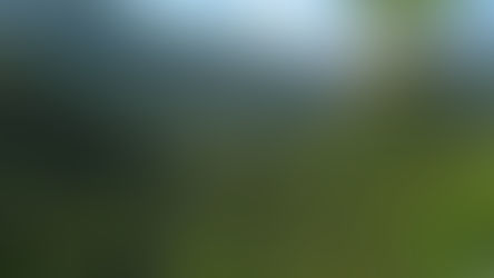 Pressão no Congresso pode reduzir área do Parque Nacional do Itatiaia, o mais antigo do país 