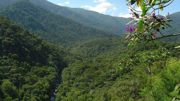 Pressão no Congresso pode reduzir área do Parque Nacional do Itatiaia, o mais antigo do país 