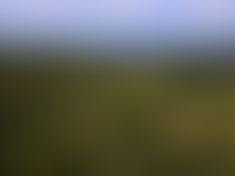 Leis ameaçam a Mata Atlântica em mês de comemoração do bioma