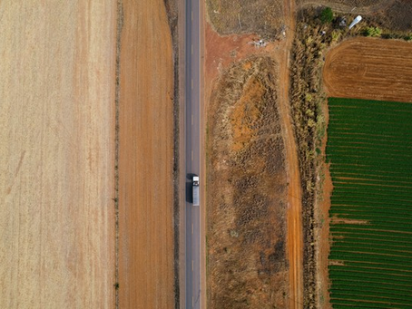 Desmatamento no Cerrado bate recorde no acumulado do ano, mas Amazônia vê queda em abril