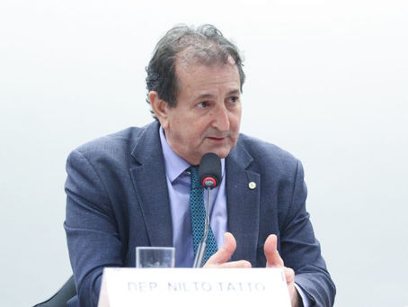 Ambientalistas celebram queda no desmatamento da Mata Atlântica, mas apontam ameaças legislativas