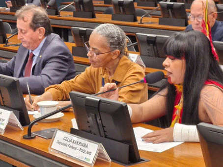 Pressão ambientalista adia votação de projeto que muda contrapartida em impactos no Rio São Francisco