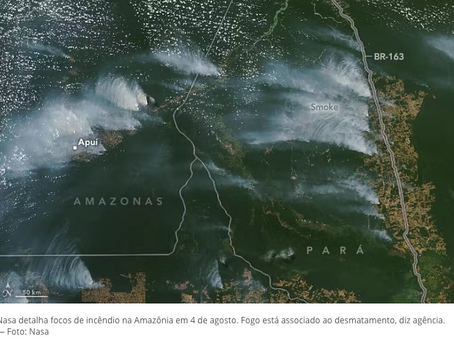 Fumaça no Pantanal e na Amazônia equivale a 5 anos de poluição em SP