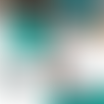 30 + 2 anos da CF/88 e os Direitos Socioambientais: Diretos dos Povos Indígenas e Populações