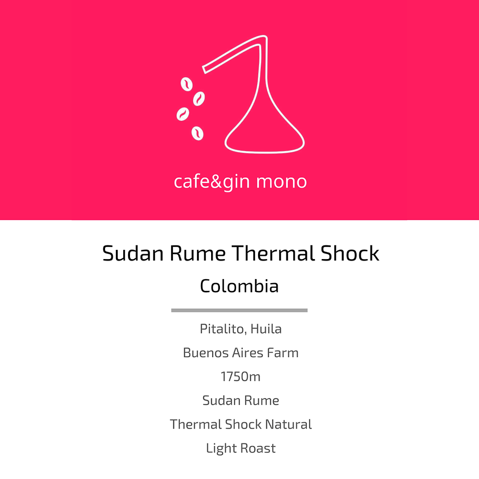 サムネイル： Sudan Rume Thermal Shock / Colombia