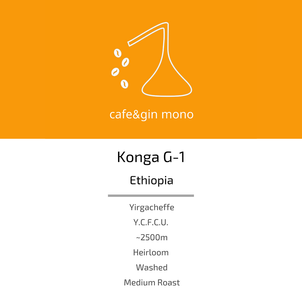 Konga G-1 / Ethiopia