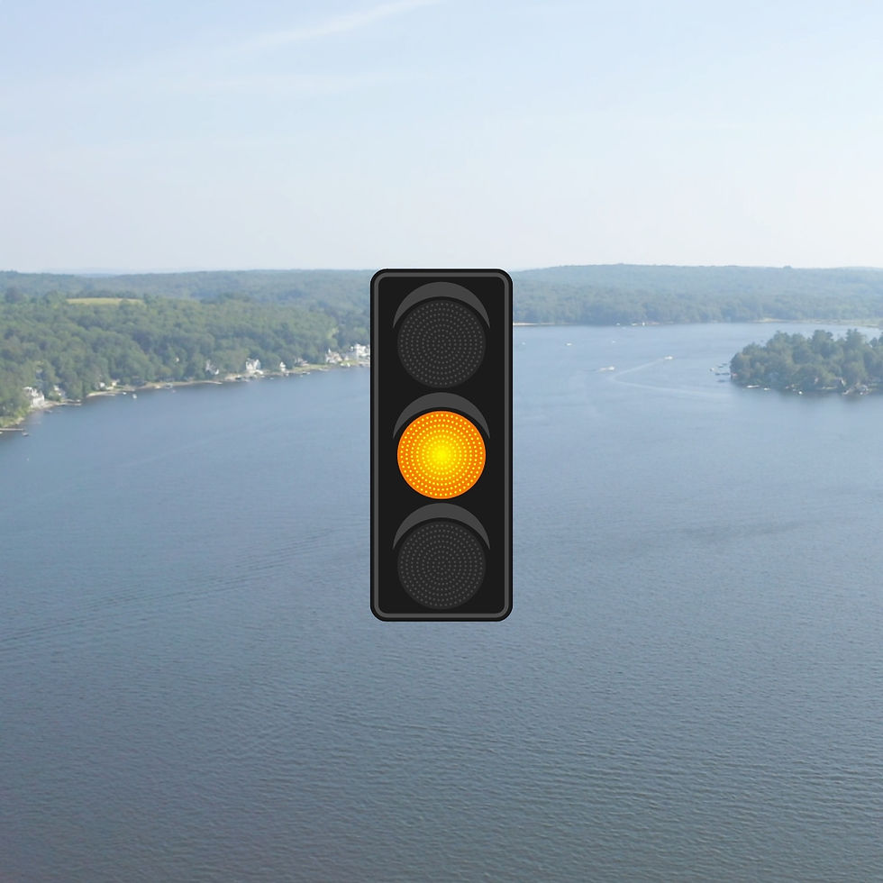 BLPA-Stoplight-Yellow.jpg