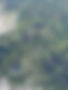 unnamed.jpg