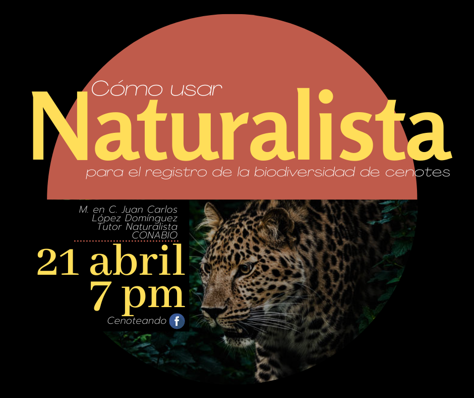 Webinar: ¿Cómo usar Naturalista para el registro de la biodiversidad de cenotes?