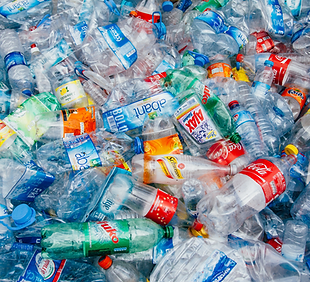 Untitled design (47).png