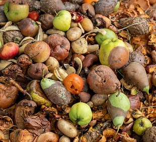 Untitled design (43).png