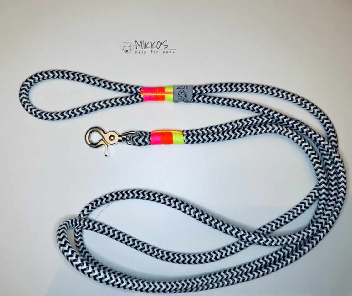Hundeleine aus Paracord "Neon"