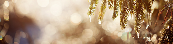 Untitled design (78).png