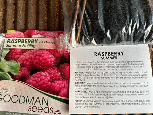 Raspberry Summer Fruiting Canes | Harvest & Homewares
