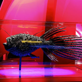 Large fish sculpture installed at Auckland Museum's Moana — My Ocean exhibition, Auckland