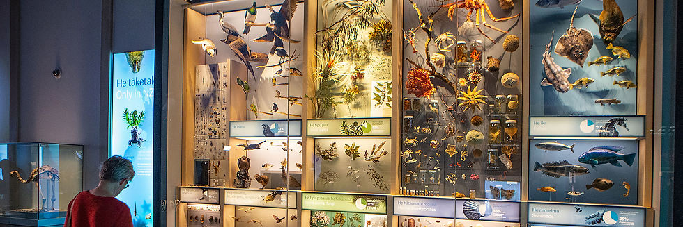 Te Taiao Exhibition