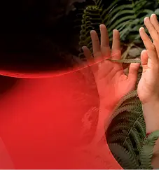 bg-hero-aboutus-corporate-d (1).webp