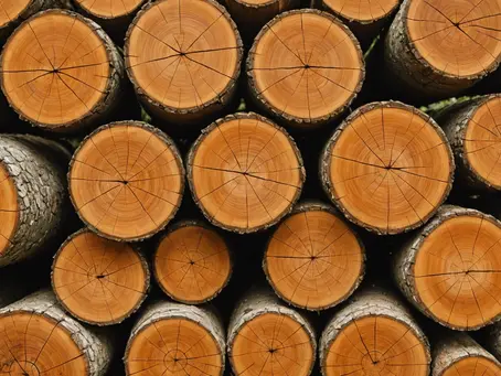 Maximizing Potential: Crafting with Sawn Logs in Woodworking