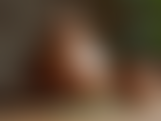 Yerba Mate FAQs: Everything You Need to Know