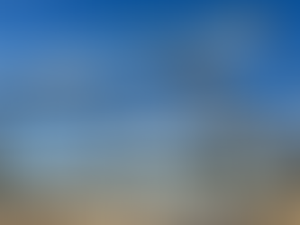 Risk - Avoidance Strategies Foreign Buyers Must Know for Steel Procurement in China