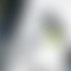 How to Protect Against China’s Four Most Common Business Scams