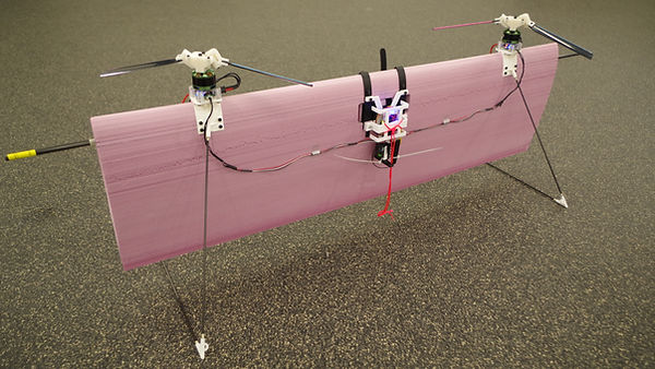 P1_Fig1