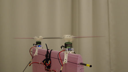 P1_Fig3_right