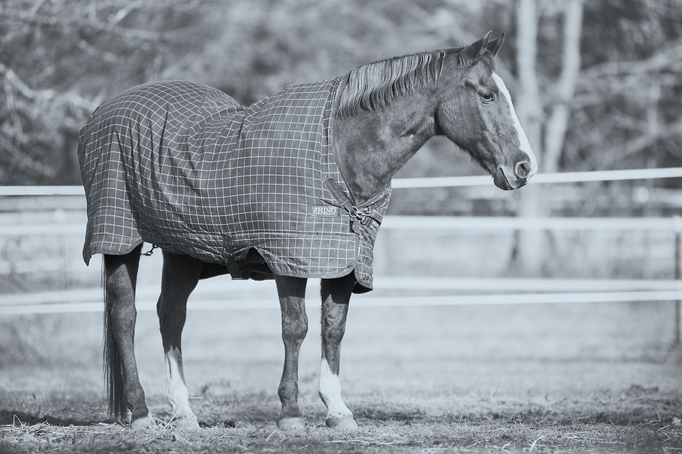 Specialist Laundry Services - Tailored Solutions for Unique Items - Kinmark