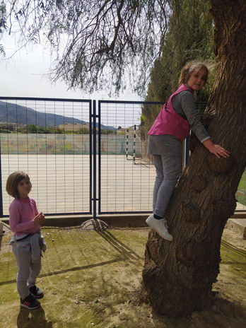 1º EF ESCALADA RURAL (1).jpeg