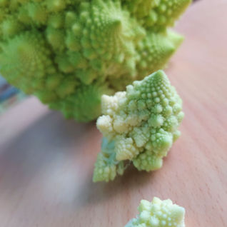 6º PLÁST ROMANESCU Y PHI2.jpg