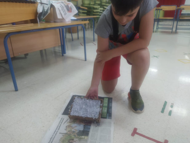 5ºB RECICL PAPEL 01 (7).jpeg