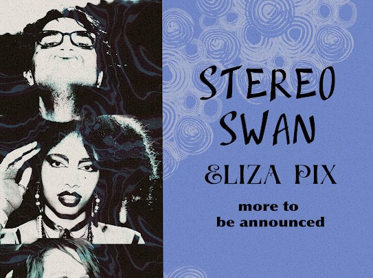 STEREO SWAN