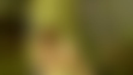 RITUEL D'IMBOLC : T'offrir la renaissance de ta créativité