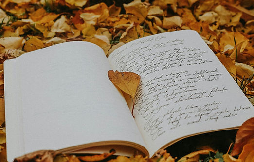 programme automne.jpg